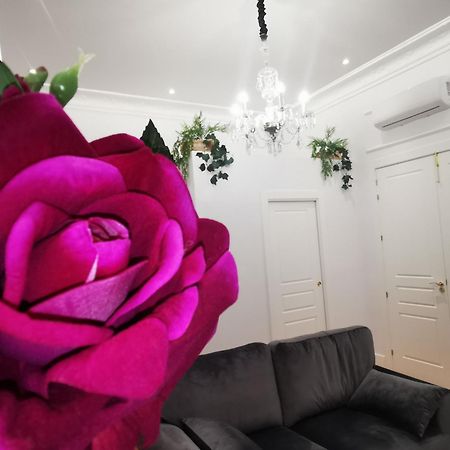 Rua Suites Boutique Salamanca Oda fotoğraf