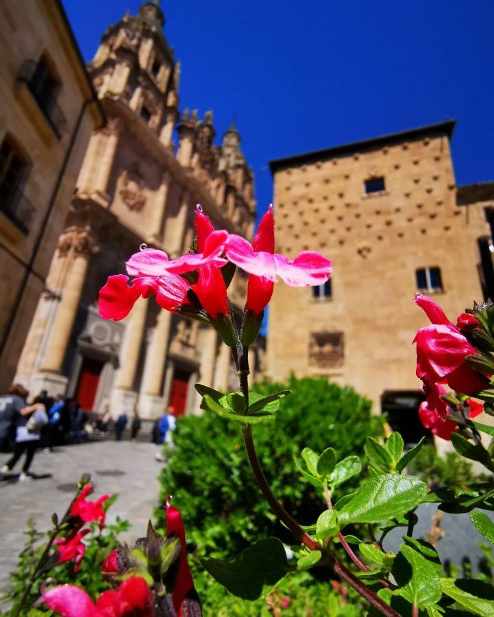 Rua Suites Boutique Salamanca Dış mekan fotoğraf